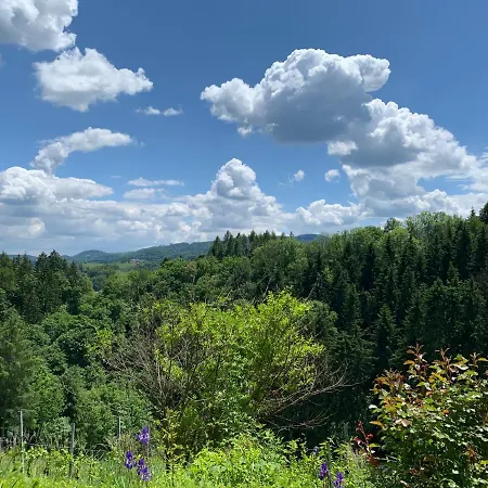 公寓 Bio-weingut Leitner 里欧查赫