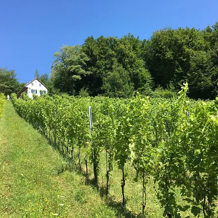 Apartament Bio-weingut Leitner Leutschach