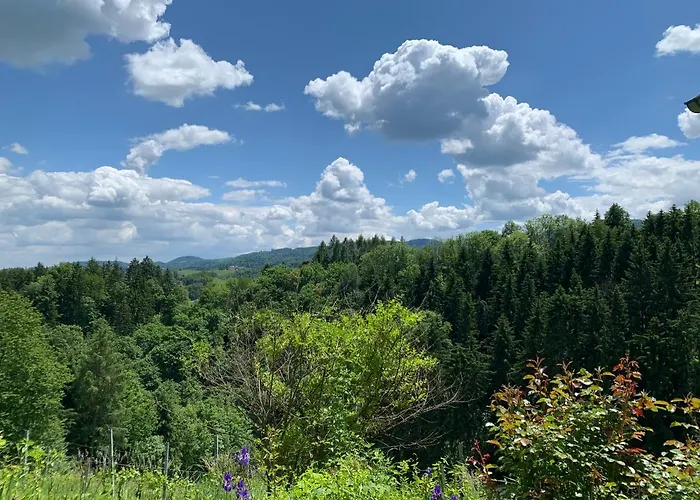 Apartment Bio-weingut Leitner Leutschach