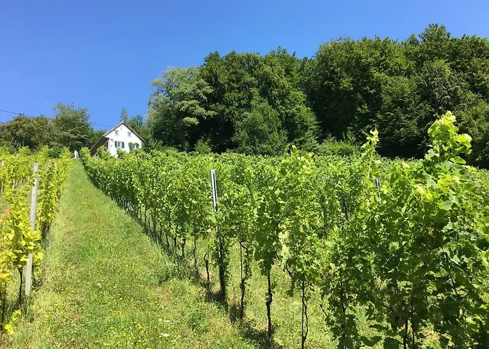 Apartment Bio-weingut Leitner Leutschach